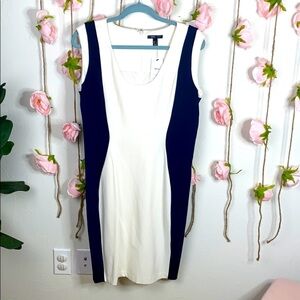 Navy & White Sheath Dress